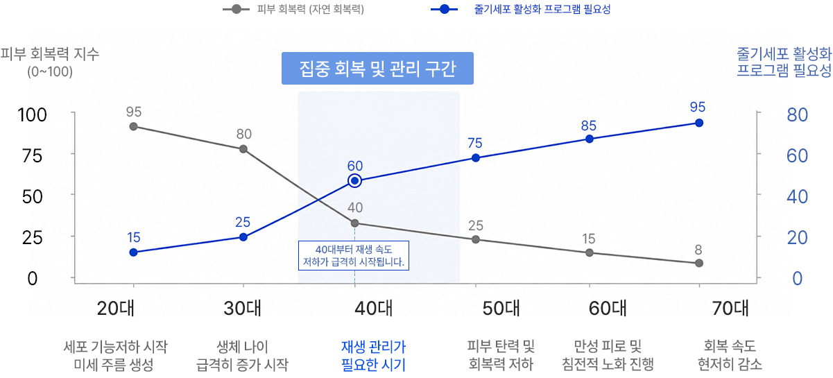 줄기세포 기반 회복 과정 단계별 관리 그래프