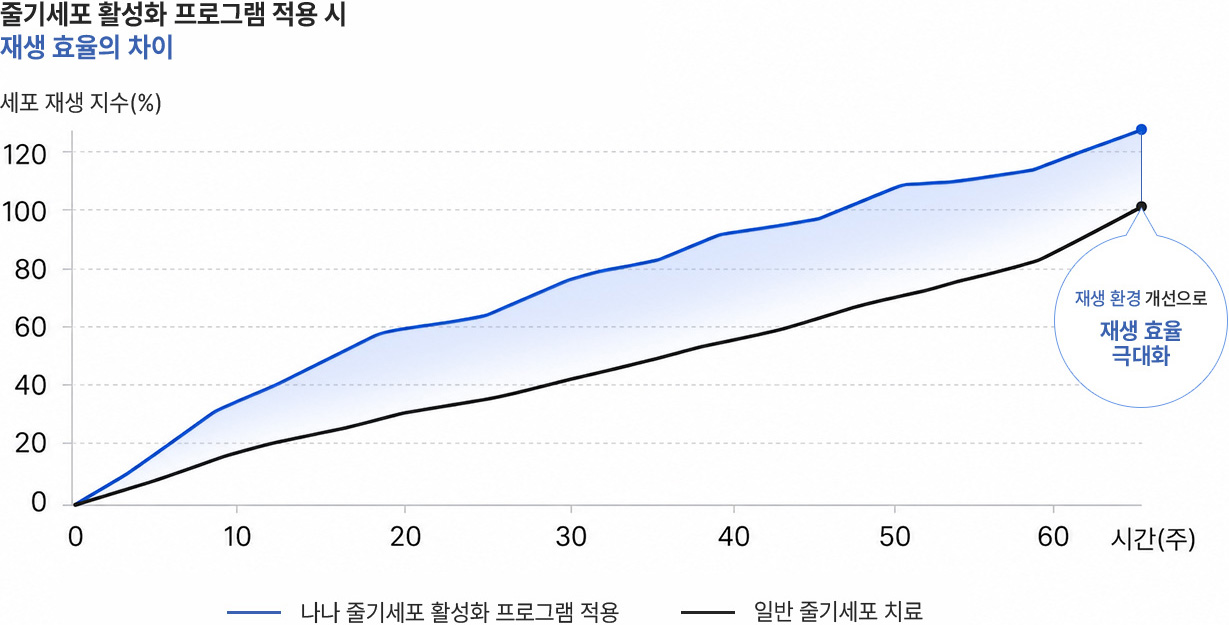 줄기세포 활성화 프로그램 적용 시 재생 효율의 차이 그래프