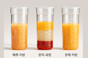 지방 정제