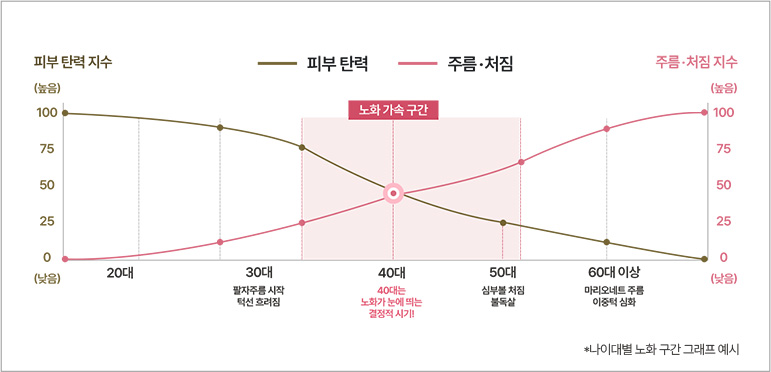 나이별 피부 탄력 및 주름·처짐 지수 그래프
