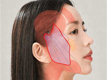 턱라인 루프 방향